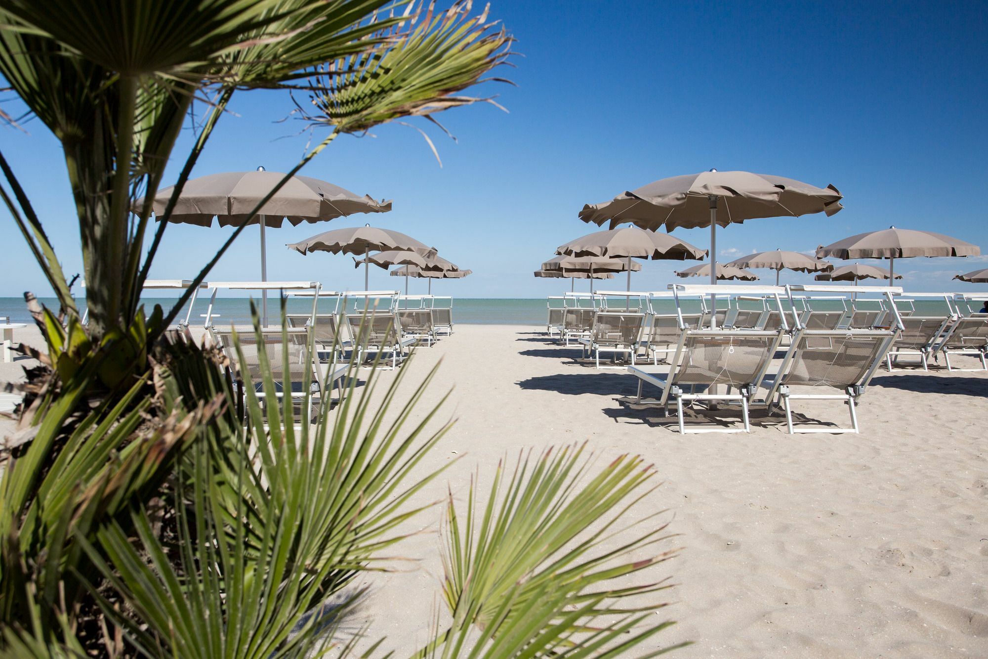 Hotel Solemare Milano Marittima Exteriör bild